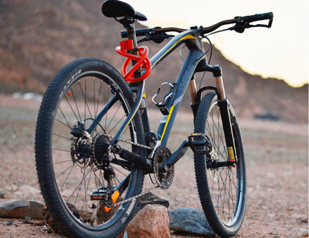 Mountain Bikes