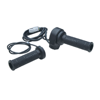 Ducati Heated Grips