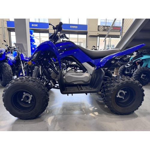 Yamaha YFM110 Raptor - USED