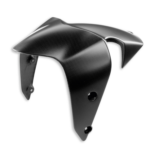 Ducati Carbon Front Mudguard - Monster