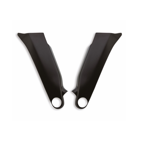 Ducati Carbon Frame Protection V4/V4S