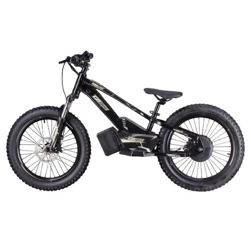 GoBike 20inch Electric Balance Bike