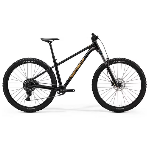 Merida Big Trail 300 HardTail - Medium - Black / Brown